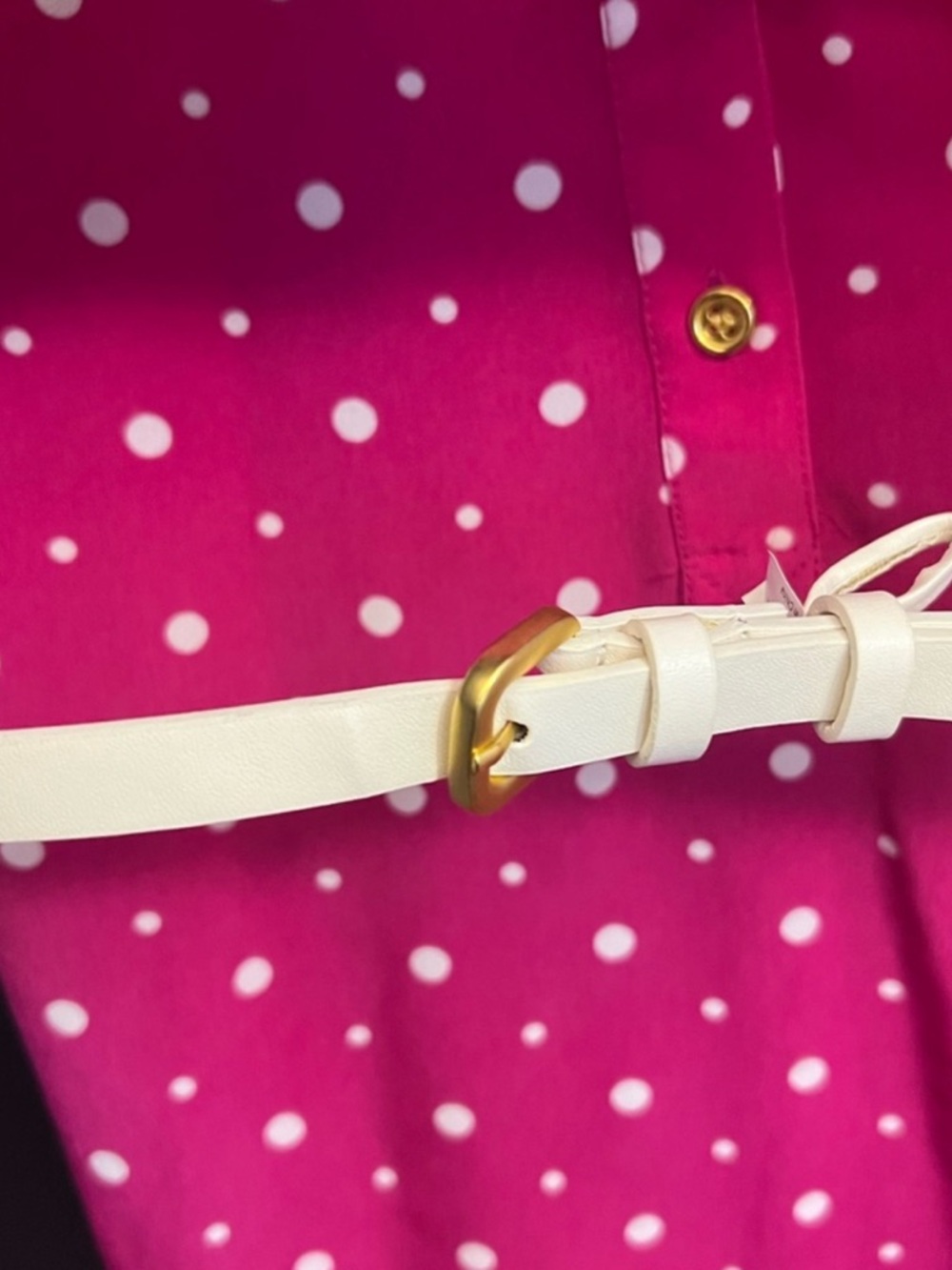 The Limited Berry Pink Polka Dot Dress - Picture 4 of 7